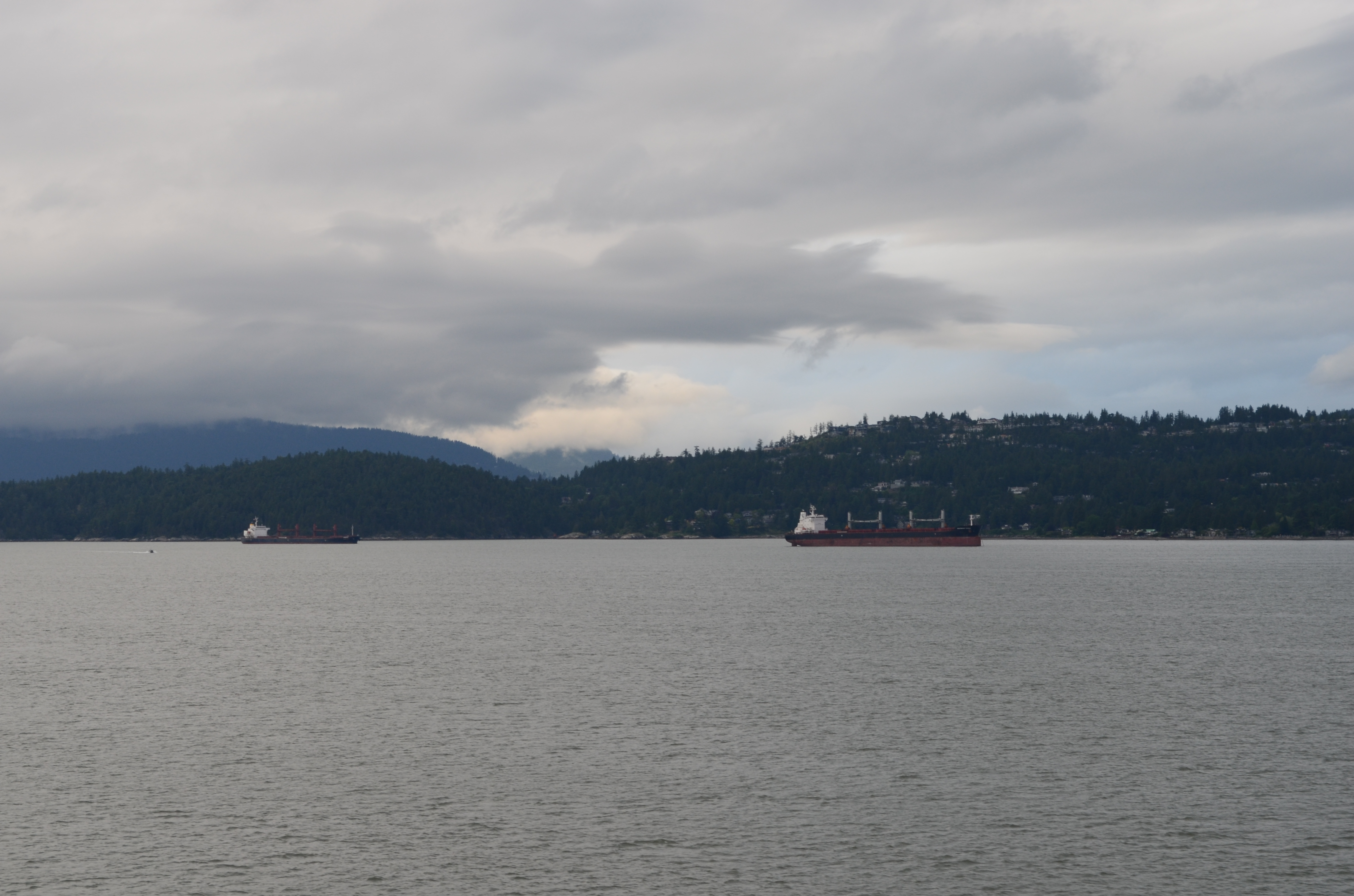 ./2017/08 - Alaska Cruise/12 - Inside Passage/DSC_0585.JPG